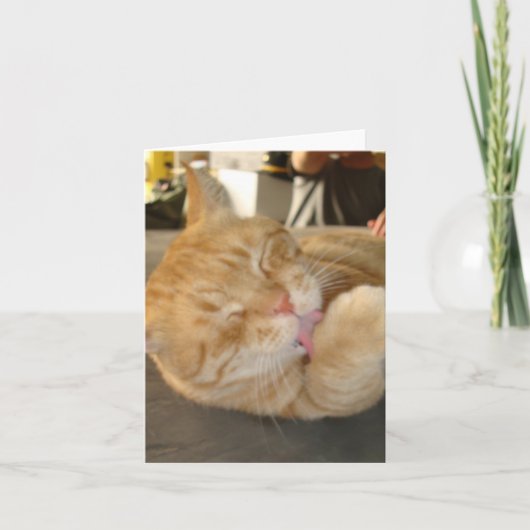 CARTE LE CAT NOTENT CARD-BLANK (Devant)