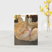 CARTE LE CAT NOTENT CARD-BLANK (Fleur jaune)