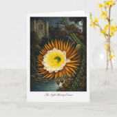 Carte Le Cereus de Nuit — Réinterprétation Botanique Mod (Fleur jaune)