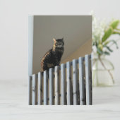 Carte Le Chat  (Debout devant)