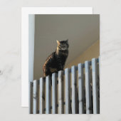 Carte Le Chat  (Devant / Derrière)