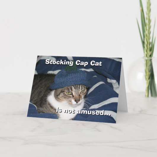 Carte Le chat au bonnet de tricot n'est pas amusé (Devant)