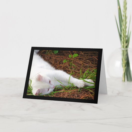 Carte Le Chat dans les Aiguilles de Pin (Devant)
