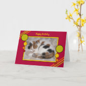 Carte Le chat de calicot a courbé le vert rouge de photo (Fleur jaune)