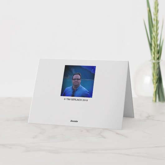 Carte Le Chat de Schrödinger et la revanche (Dos)