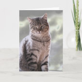 Carte Le chat d'Ephraim (Devant)