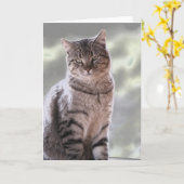 Carte Le chat d'Ephraim (Fleur jaune)