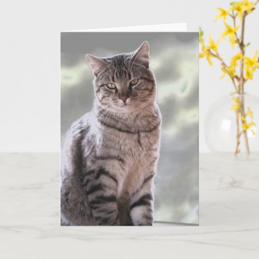 Carte Le chat d'Ephraim (Fleur jaune)