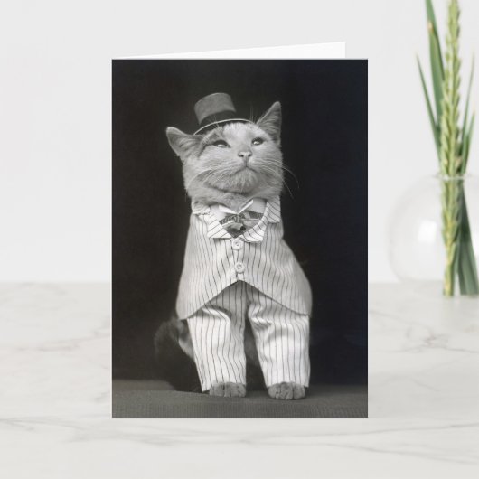 Carte Le Chat Élégant, 1906 (Devant)