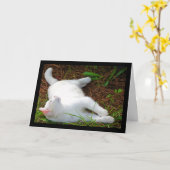 Carte Le Chat et la mouche (Fleur jaune)