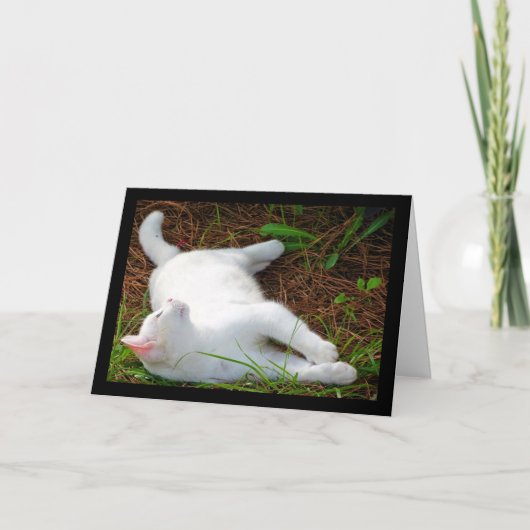 Carte Le Chat et la mouche (Devant)