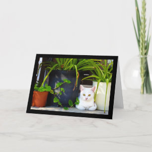Carte Le Chat Parmi les Plantes