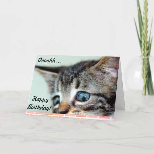 Carte Le Chaton Mignon Indique Le Joyeux Anniversaire Zazzle Be