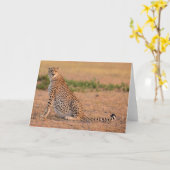 Carte Le Cheetah repose tôt le matin (Fleur jaune)
