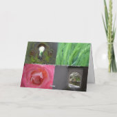 Carte Le chemin diverge - des choix (Dos)