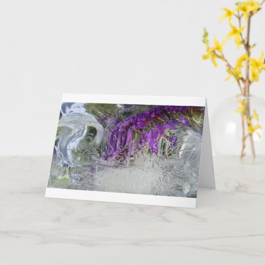 Carte Le chevalier noir glacé Bush, (Fleur jaune)