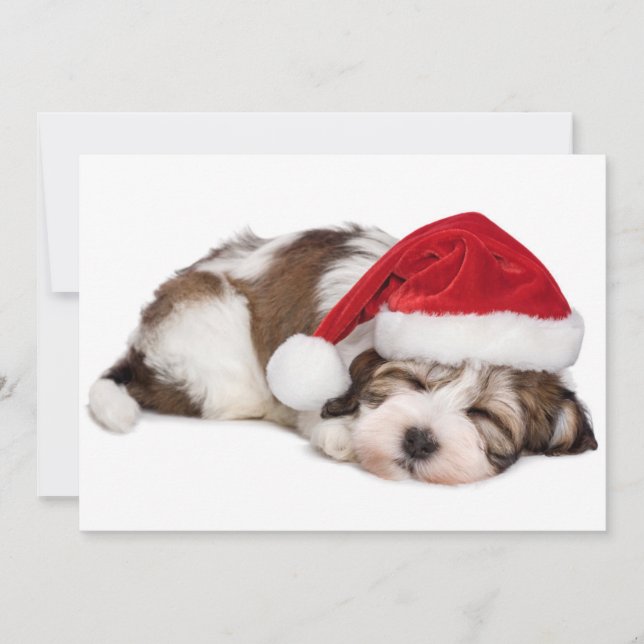 Carte Le Chien Chien Chien Chien Chien Chien Qui Dort Mi (Devant)