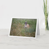 Carte Le chien court dans l'herbe (Devant)