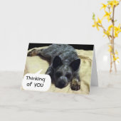 CARTE LE CHIEN DE CHIEN DE CHIEN DE CHAUSSURES EST LONGT (Fleur jaune)