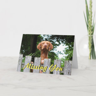 Carte Le chien de Vizsla "vous manquant" cardent