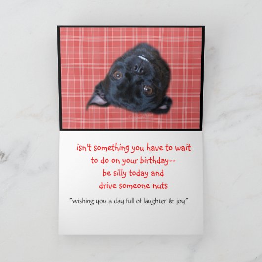 Carte Le chien idiot de Buggs, customisent n'importe (Intérieur)