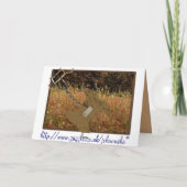 Carte Le chien spécial (Dos)