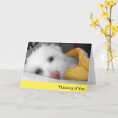 Carte Le chiot blanc, pensée couvrante jaune à vous (Fleur jaune)