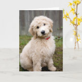 Carte Le Chiot De Goldendoodle S'Assis Dans L'Herbe (Fleur jaune)