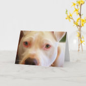 Carte Le chiot de Pitbull observe la photographie d'art (Fleur jaune)