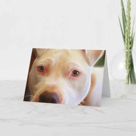 Carte Le chiot de Pitbull observe la photographie d'art (Devant)