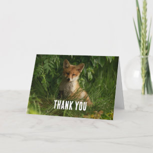 Carte Le chou renard dans un Merci de forêt verte