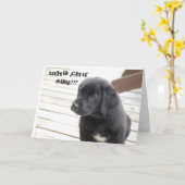 Carte le chu de wha indiquent ? ! ? (Fleur jaune)