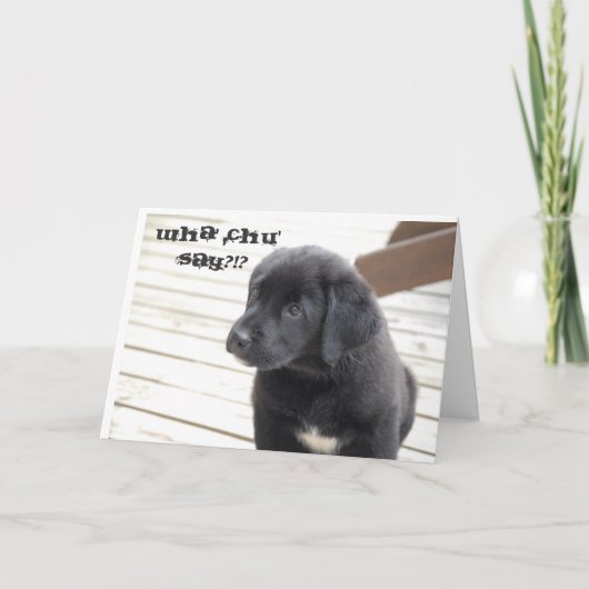 Carte le chu de wha indiquent ? ! ? (Devant)