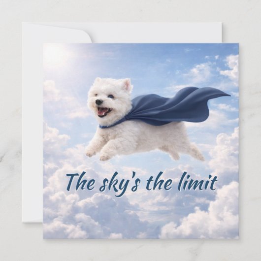 Carte Le ciel est la limite (Devant)