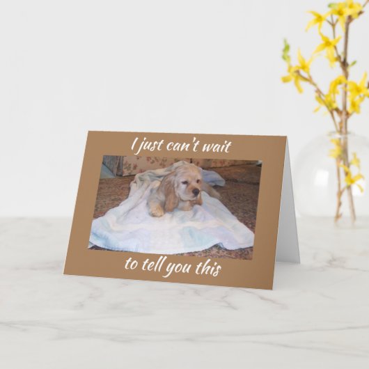 CARTE LE COCKER SPANIEL PUPPY VOUS SOUHAITE UN JOLI ANNI (Fleur jaune)