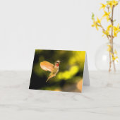 Carte Le colibri d'Anna (Fleur jaune)