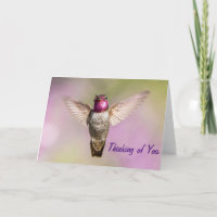 Le colibri rose vous ouvre la voie