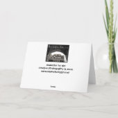 Carte Le Colosseum - Rome Italie (Dos)