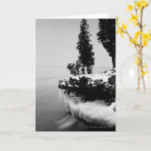 Carte Le comté de Door, le Wisconsin (Fleur jaune)