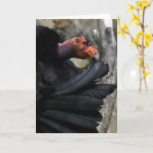 Carte Le Condor californien prévient soigneusement les p (Fleur jaune)