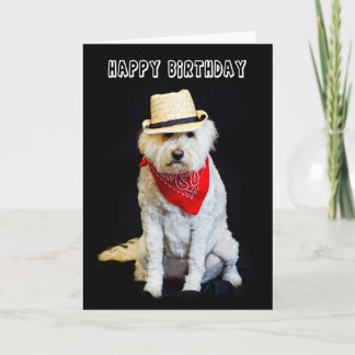 CARTE LE COW-BOY ET LE DOG ONT LE SCARF