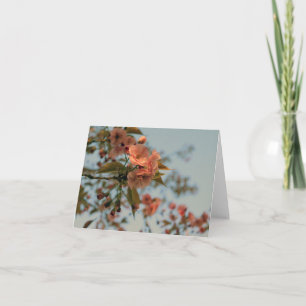 Carte Le crabon de Malus Brandywine Blossom