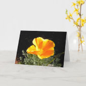 Carte Le crapaud de Californie en fleurs (Fleur jaune)