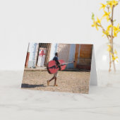 Carte Le Cuba Chello (Fleur jaune)