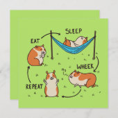 Carte Le cycle de vie d'un cochon de Guinée (Devant / Derrière)