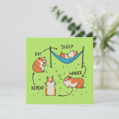 Carte Le cycle de vie d'un cochon de Guinée (Debout devant)