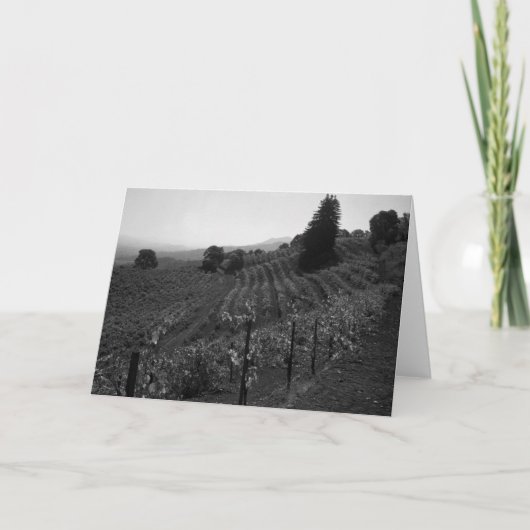 Carte Le détail, vignobles de Draper s'approchent de la (Devant)