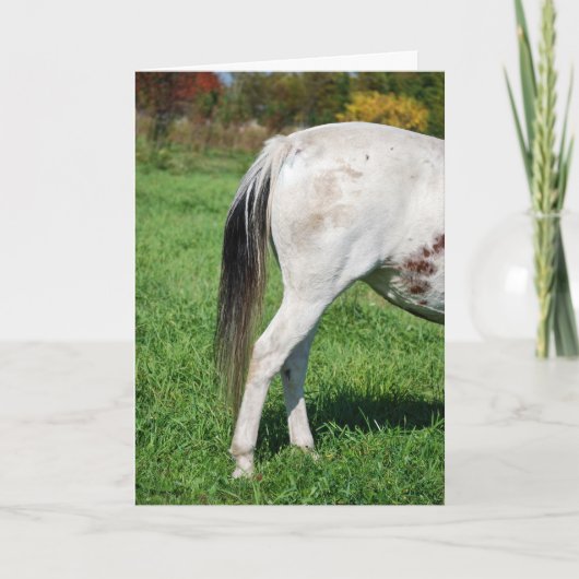 Carte Le dos du cheval au revoir (Devant)