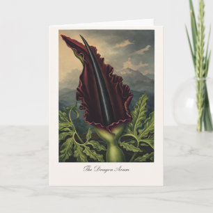Carte Le Dragon Arum — Réinterprétation Botanique Modern