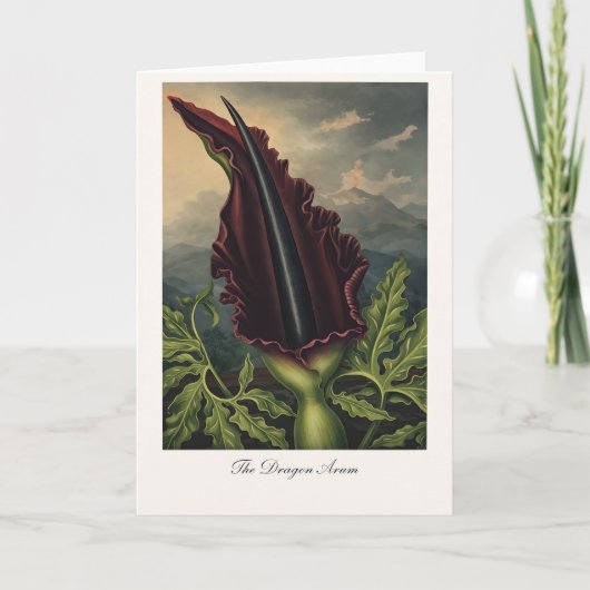 Carte Le Dragon Arum — Réinterprétation Botanique Modern (Devant)